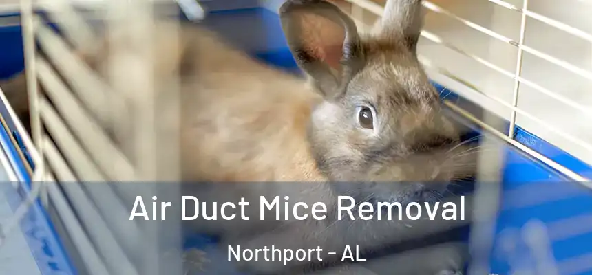 Air Duct Mice Removal Northport - AL