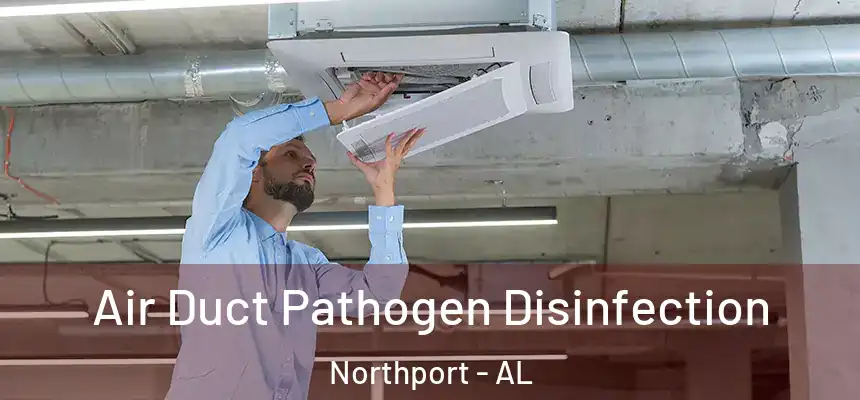  Air Duct Pathogen Disinfection Northport - AL