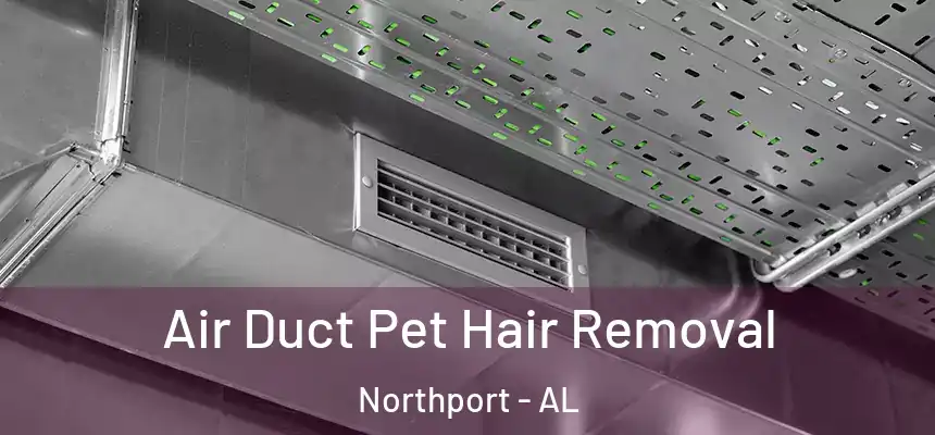  Air Duct Pet Hair Removal Northport - AL