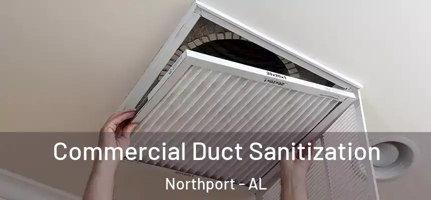  Commercial Duct Sanitization Northport - AL