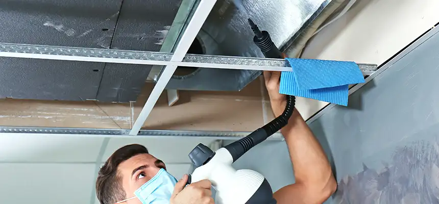 Our Air Duct Rodent Removal Services in Northport, AL