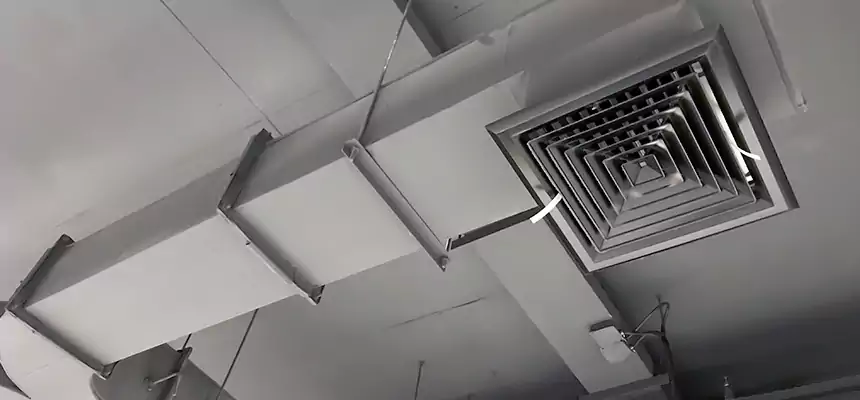 Restorative Allergy Relief Vent Cleaning – Coil, Blower & Housing Detail in Northport