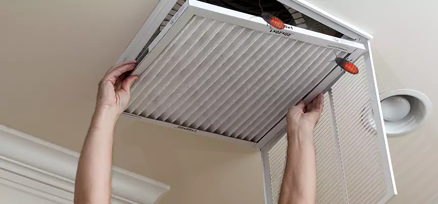 Our Insect Removal from Air Ducts Services in Northport, AL