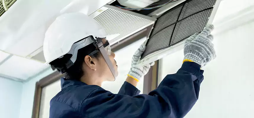 Our Mold & Mildew Removal from Air Ducts Services in Northport, AL