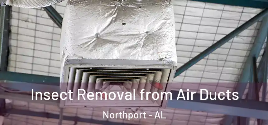  Insect Removal from Air Ducts Northport - AL