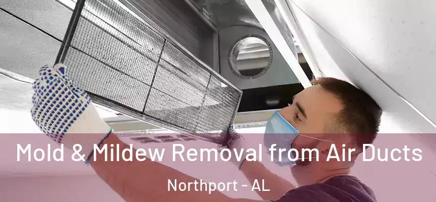  Mold & Mildew Removal from Air Ducts Northport - AL