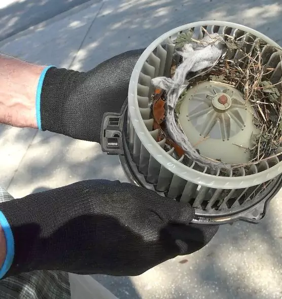 About Air Duct Mice Removal in Northport, AL