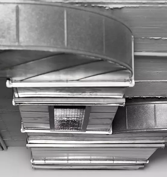 Professional Air Duct Pet Hair Removal in Northport, AL