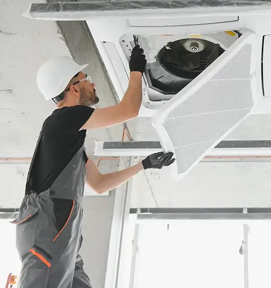 About Air Duct Rodent Removal in Northport, AL