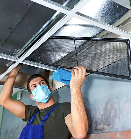 Professional Home Ventilation Cleaning in Northport, AL