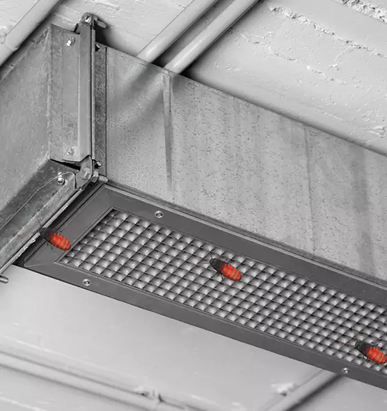 Affordable Insect Removal from Air Ducts in Northport, AL