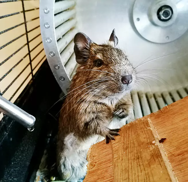 Why Homeowners & Businesses Trust Us Northport, AL?