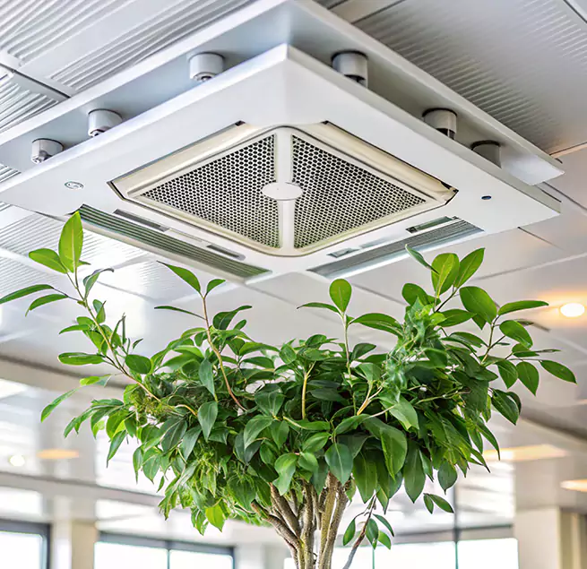 Why Homeowners & Businesses Trust Us in Northport, AL?