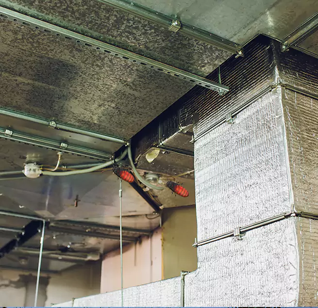 Why Homeowners & Businesses Trust Us Northport, AL?