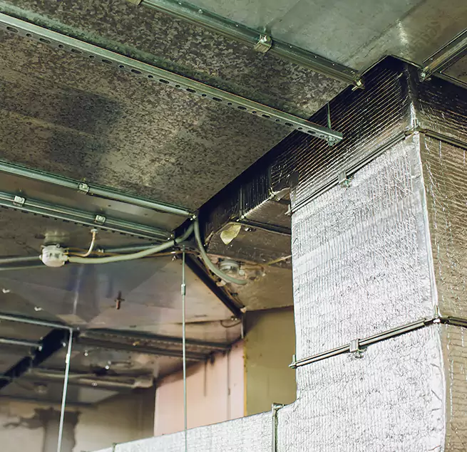 Why Homeowners & Businesses Trust Us in Northport, AL?